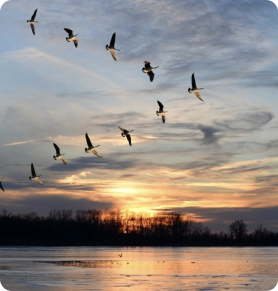 cabinet coaching,école coaching,coaching,jbs coaching