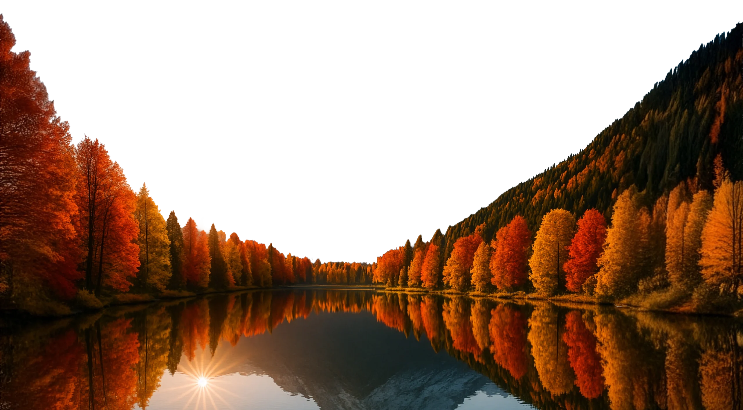 cabinet coaching,école coaching,coaching,jbs coaching