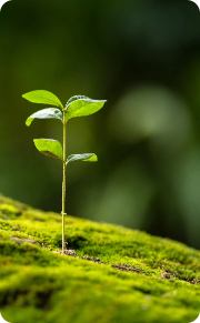 cabinet coaching,école coaching,coaching,jbs coaching