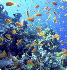 cabinet coaching,école coaching,coaching,jbs coaching