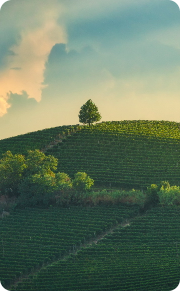 adobestock 1778156803