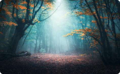 adobestock 227705869