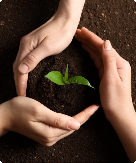 adobestock 272544189