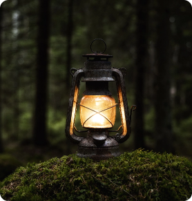 adobestock 320377711