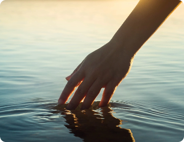 adobestock 403354462