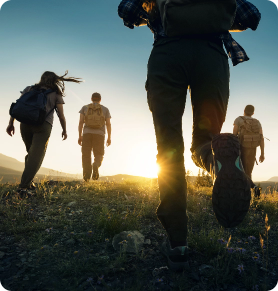 adobestock 471986793