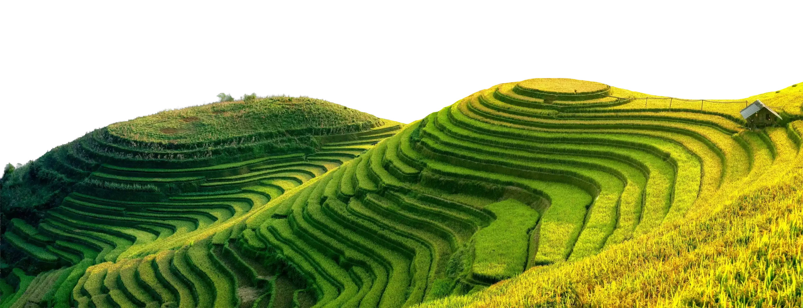 bandeau notre vision 1 11zon