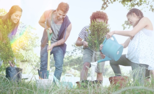 capture d’écran 2017 12 04 à 14.02.09