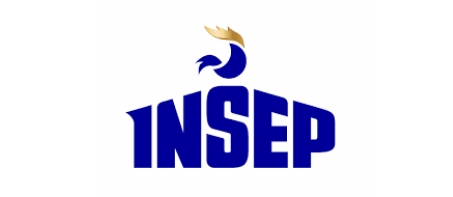 insep consulting insep consulting