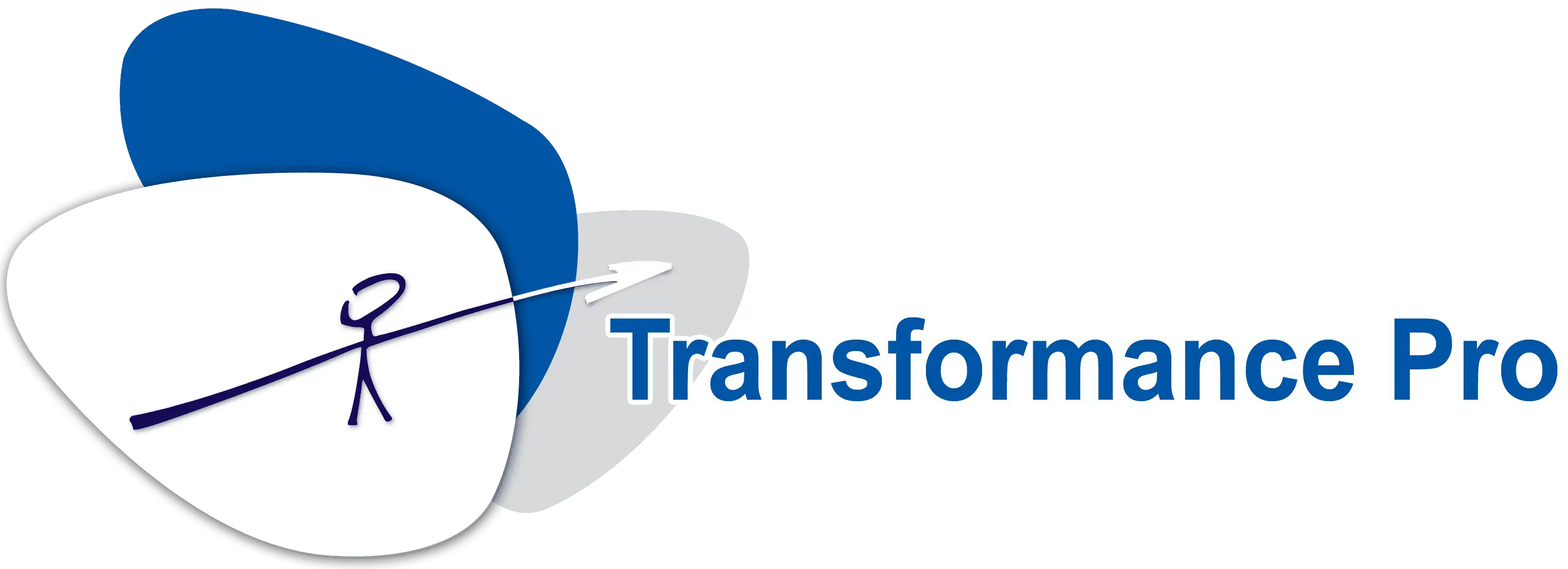 logo transformance fleche a moitie blanche.png